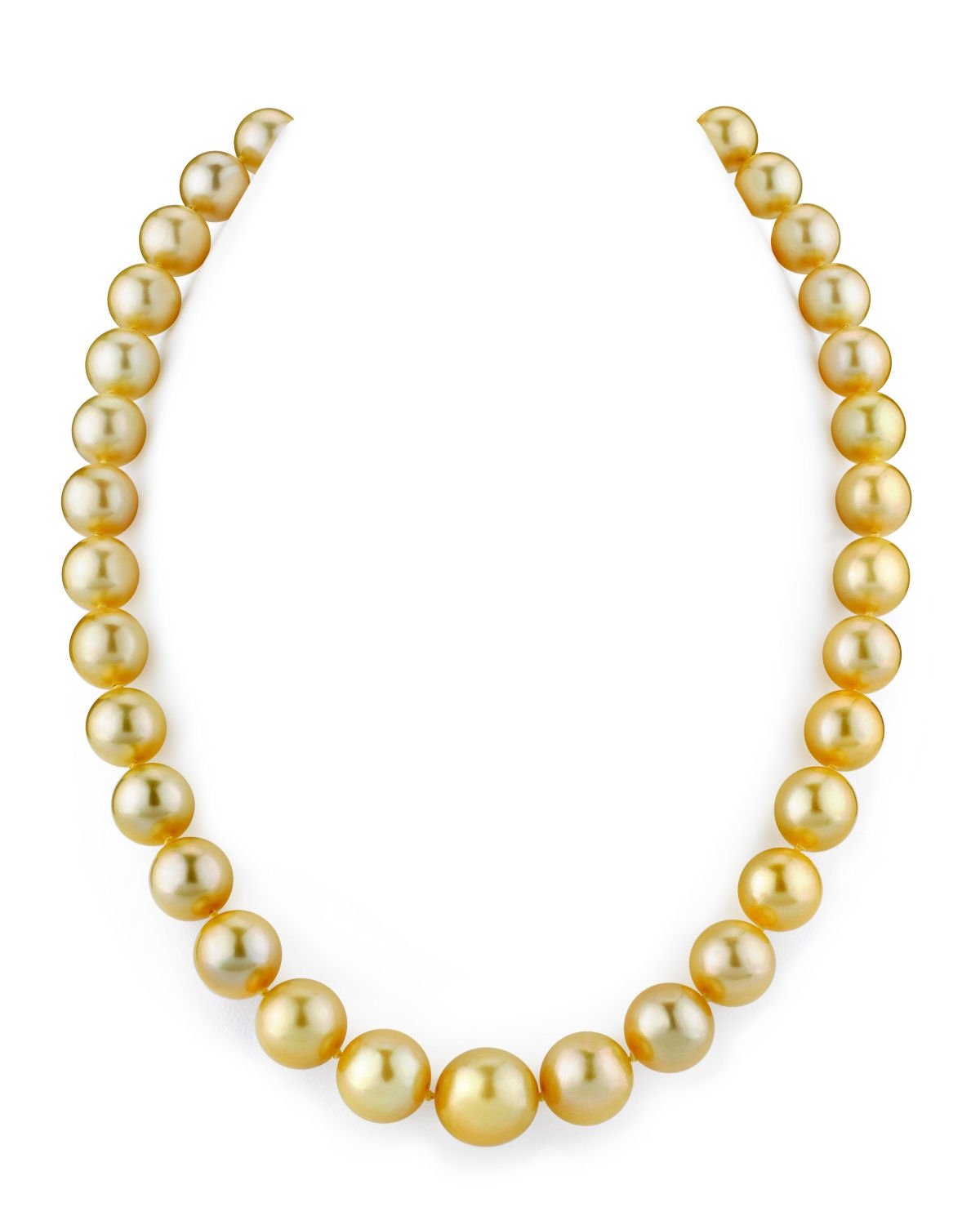 Round South Sea Pearl Necklace in Gold