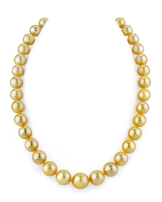 Round South Sea Pearl Necklace in Gold