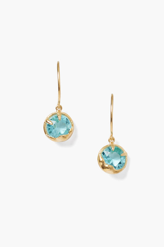 Turquoise Crystal December Earrings