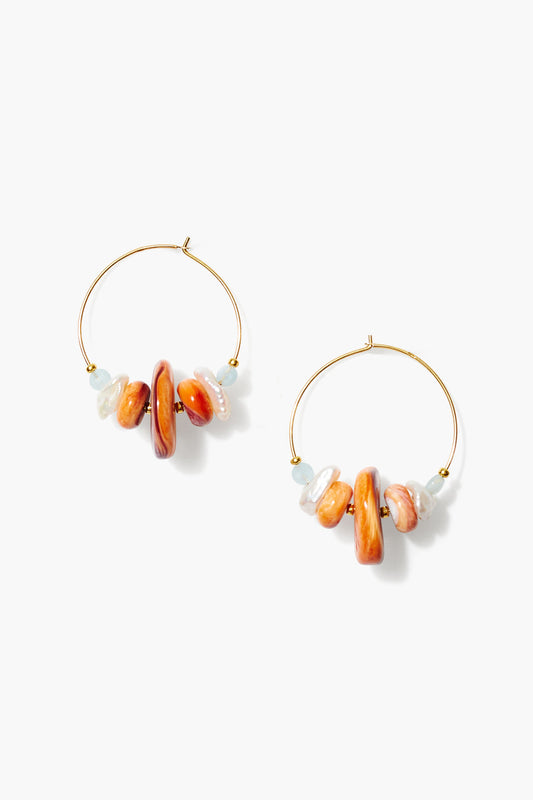 Multi Colored Hoop Earrings in Stylish Design