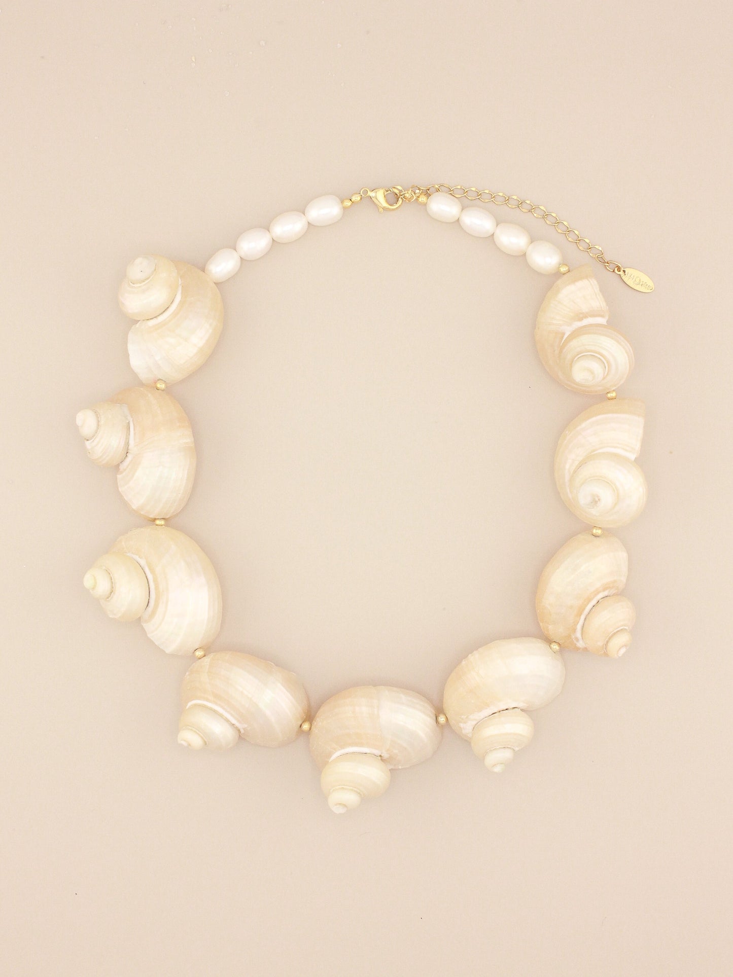 Large Multi-Colored Turbo Shell Necklace