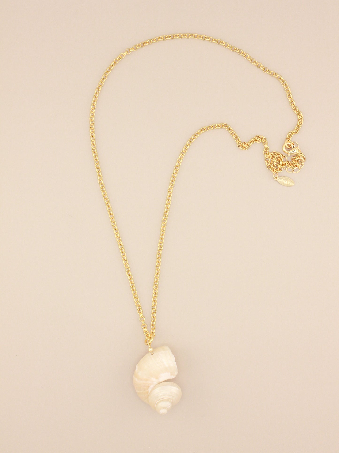 Shell Pendant on Long Chain Necklace