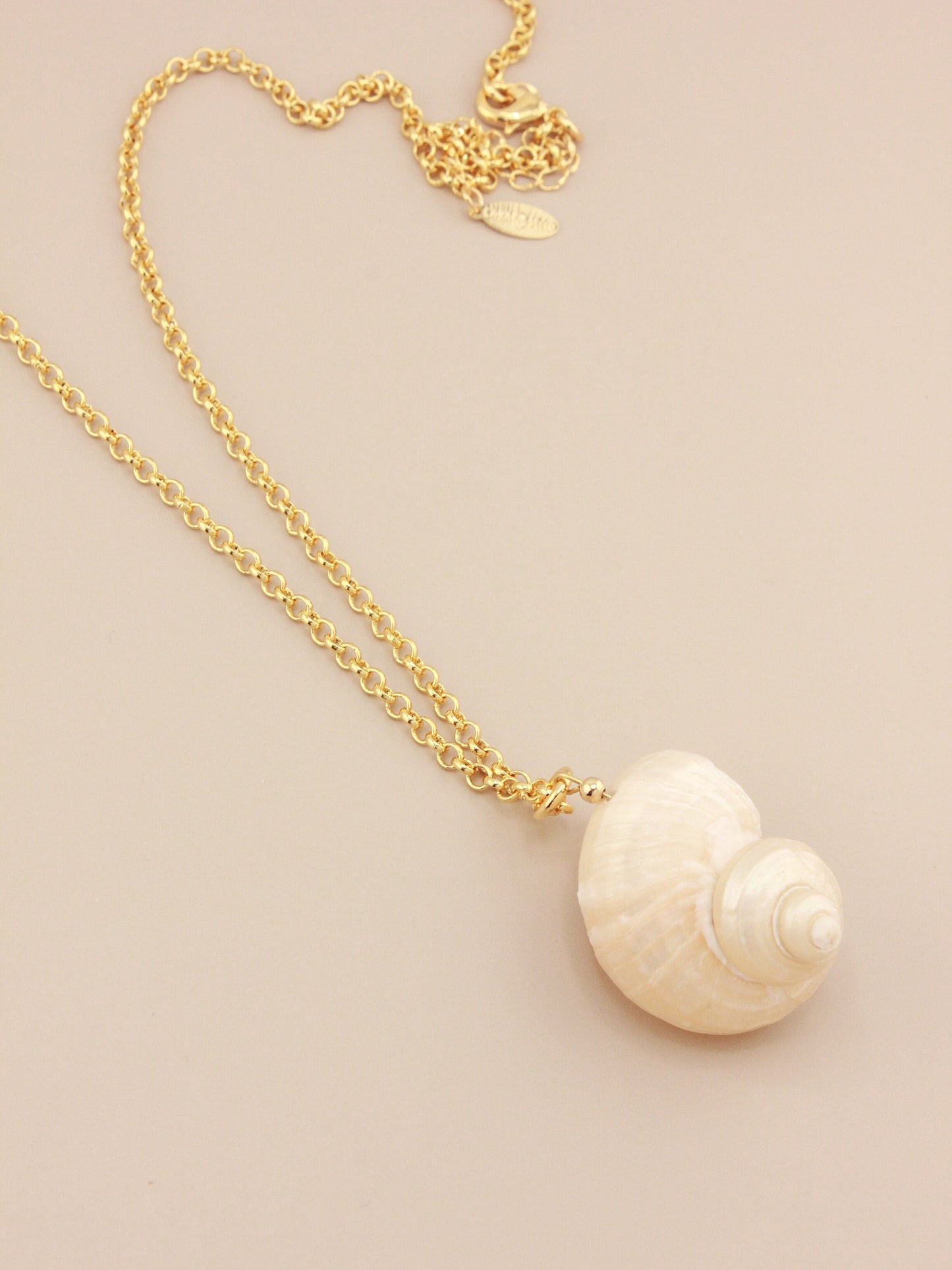 Shell Pendant on Long Chain Necklace