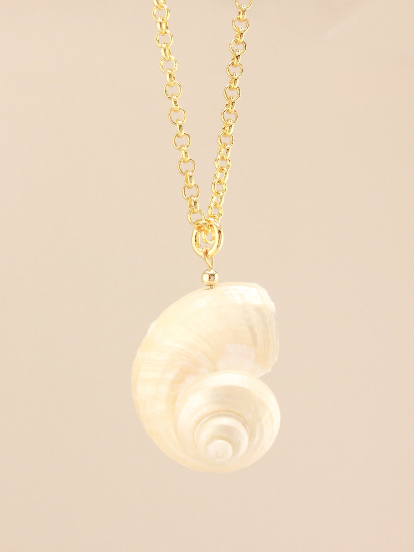 Shell Pendant on Long Chain Necklace