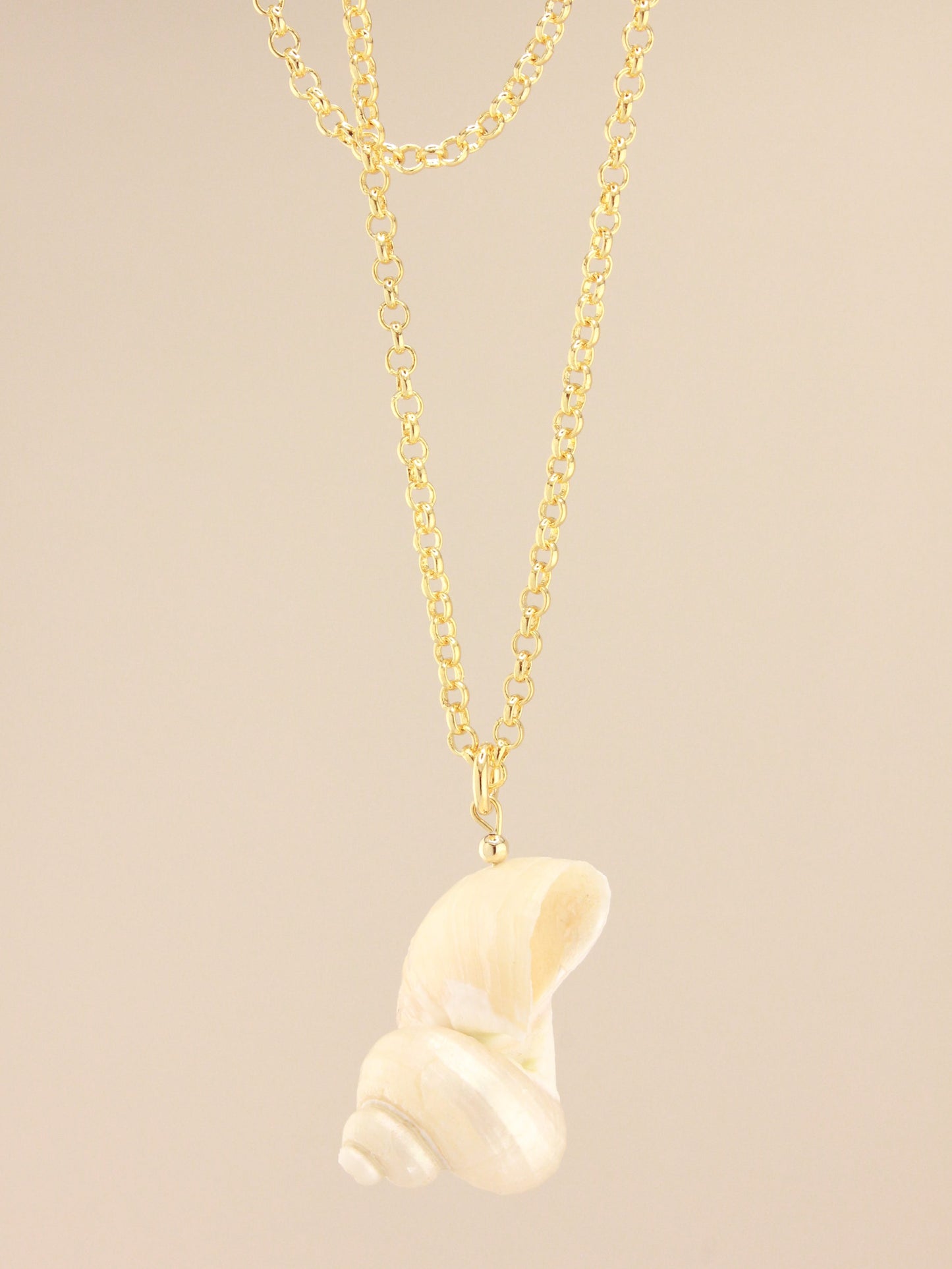 Shell Pendant on Long Chain Necklace