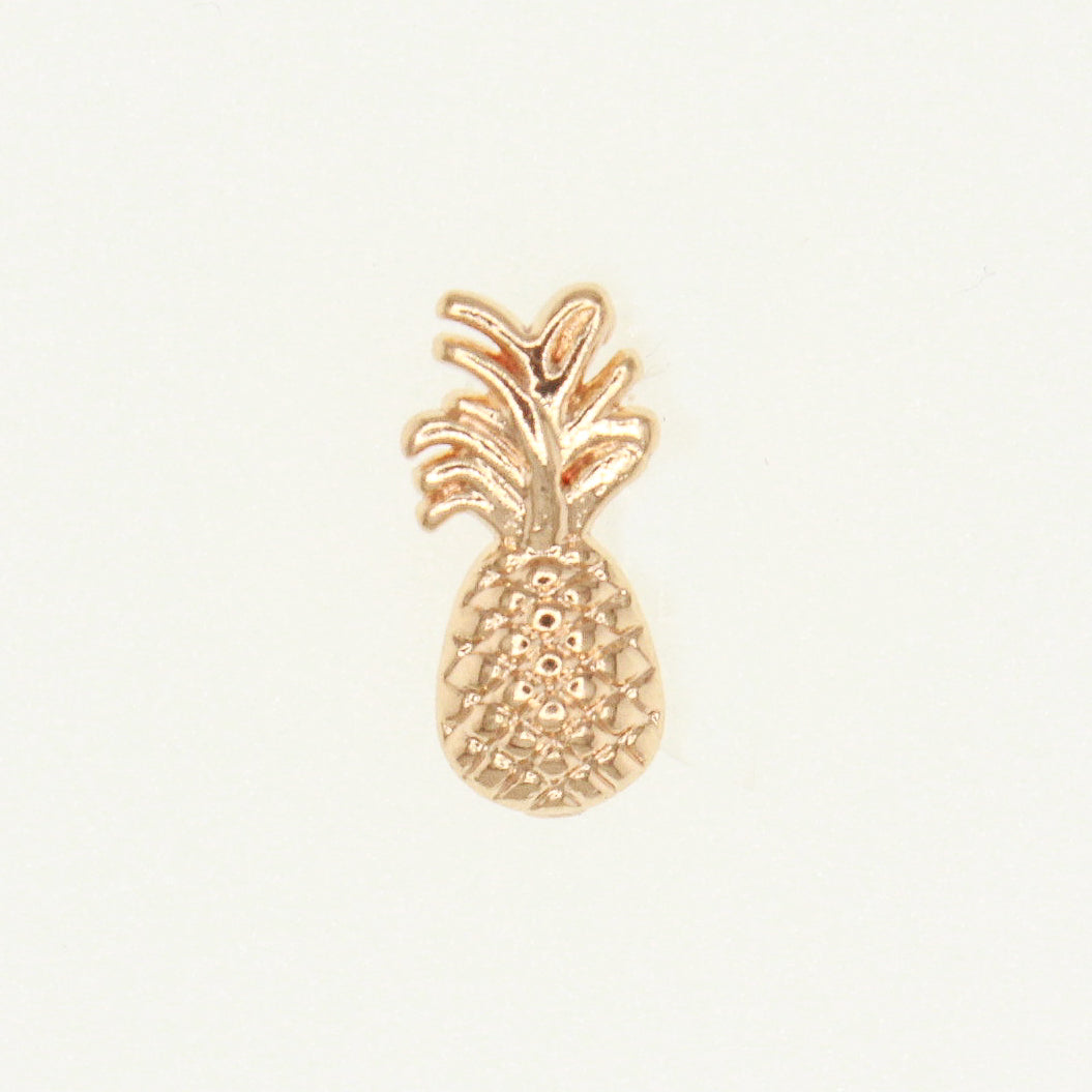 Rose Gold Charm Collection for Jewelry Lovers