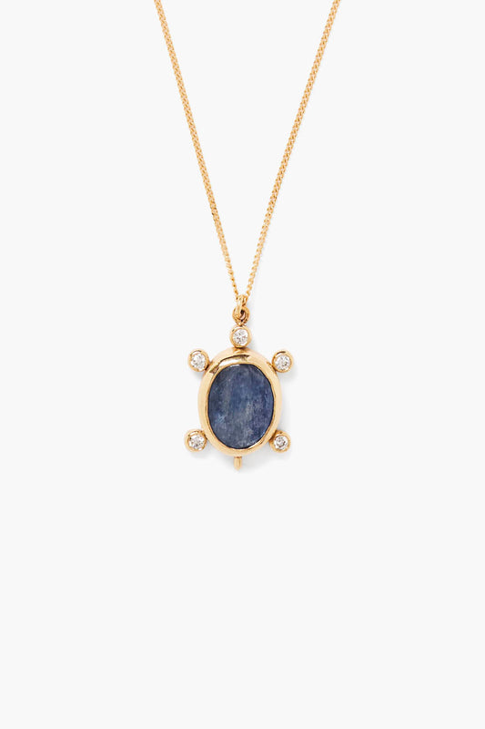 Turtle Necklace with Kyanite Gemstone