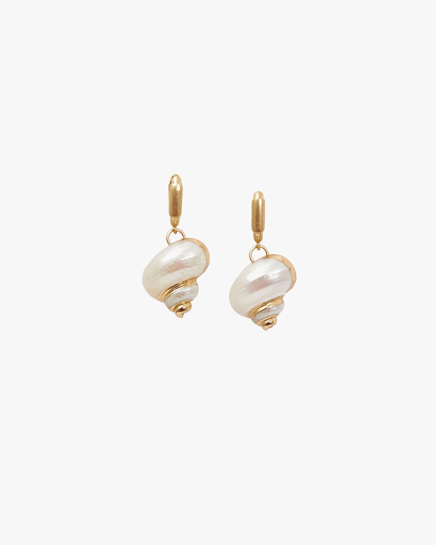 Shell Huggie Earrings in Link Design