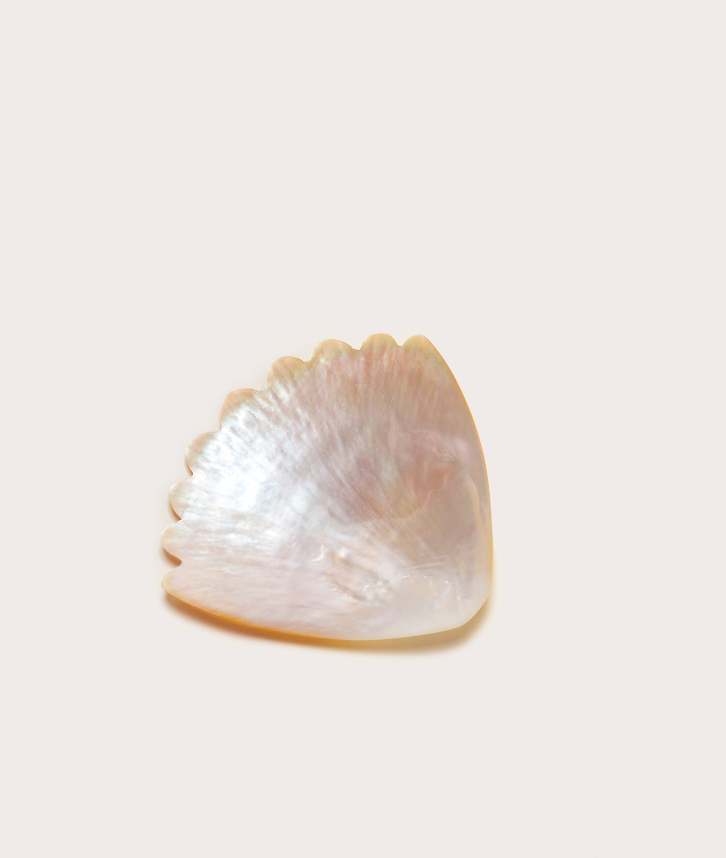 Mother of Pearl Coquille Serving Dish