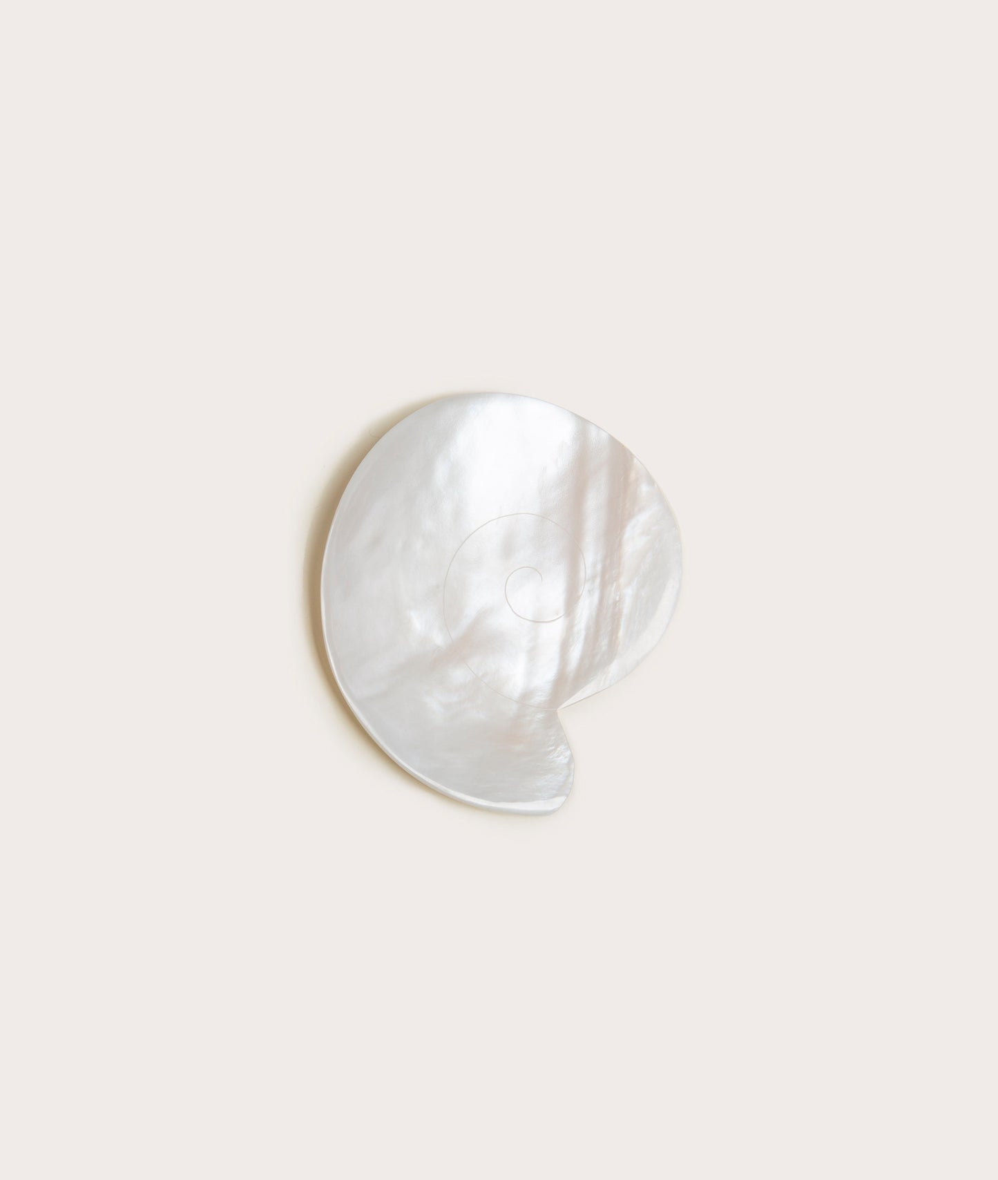 Mother of Pearl Nautilus Dish Decor