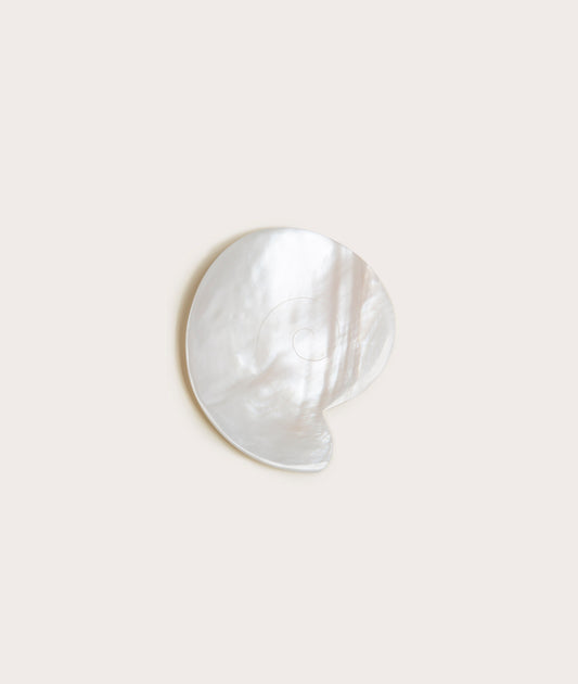 Mother of Pearl Nautilus Dish Decor